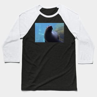 Sea Lion Baseball T-Shirt